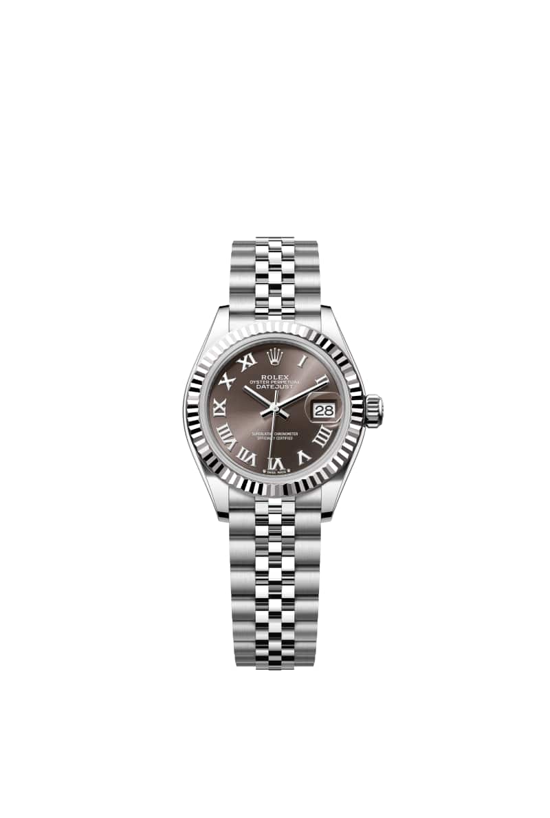 ROLEX Lady-๋ฐ์ดํธ์ ์คํธ 28 279174 ๋คํฌ ๊ทธ๋ ์ด ๋ค์ด์ผ ์ค์ด์คํฐ์คํธ๊ณผ White Gold