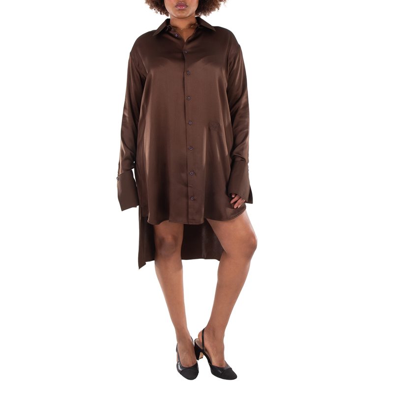 Button-Up Silk Shirt Dress