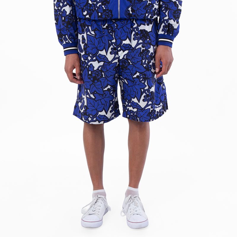 Ivy Printed Nylon Shorts