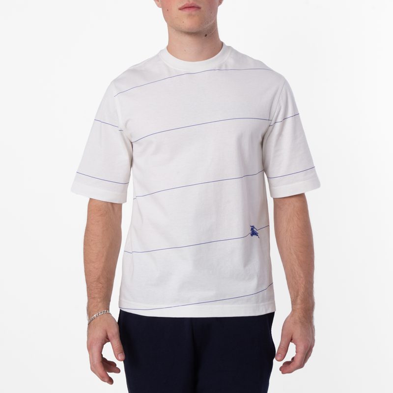 Striped Cotton Jersey T-Shirt_Rain