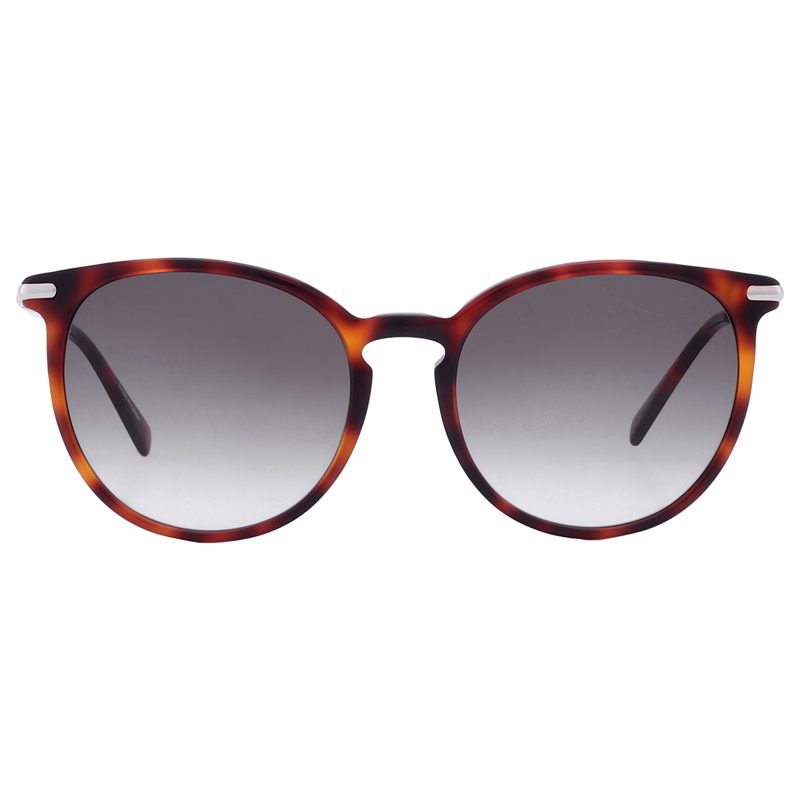 Longchamp Grey Gradient Phantos Ladies Sunglasses LO646S 214 54