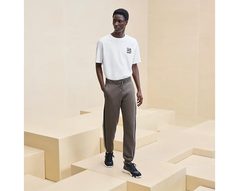 HERMES