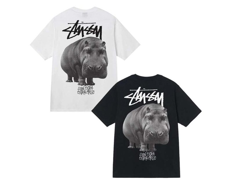 STUSSY