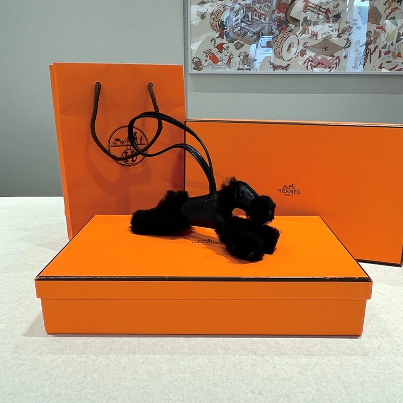 HERMES